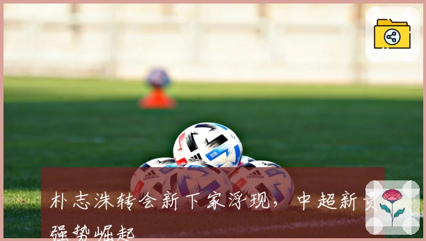 朴志洙转会新下家浮现，中超新贵强势崛起