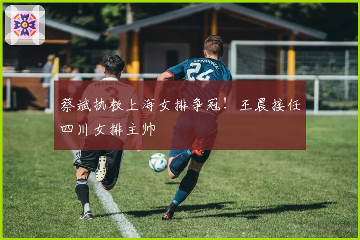 蔡斌执教上海女排争冠！王晨接任四川女排主帅