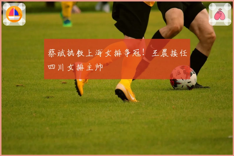 蔡斌执教上海女排争冠！王晨接任四川女排主帅
